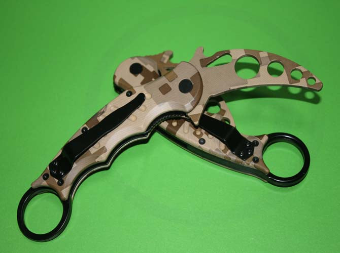 Eagle claw training claw