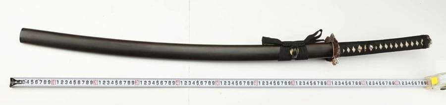 boxkatana Hand Forged Japanese Samurai Katana Frog Prince Pattern Steel Gilt Silver Guard